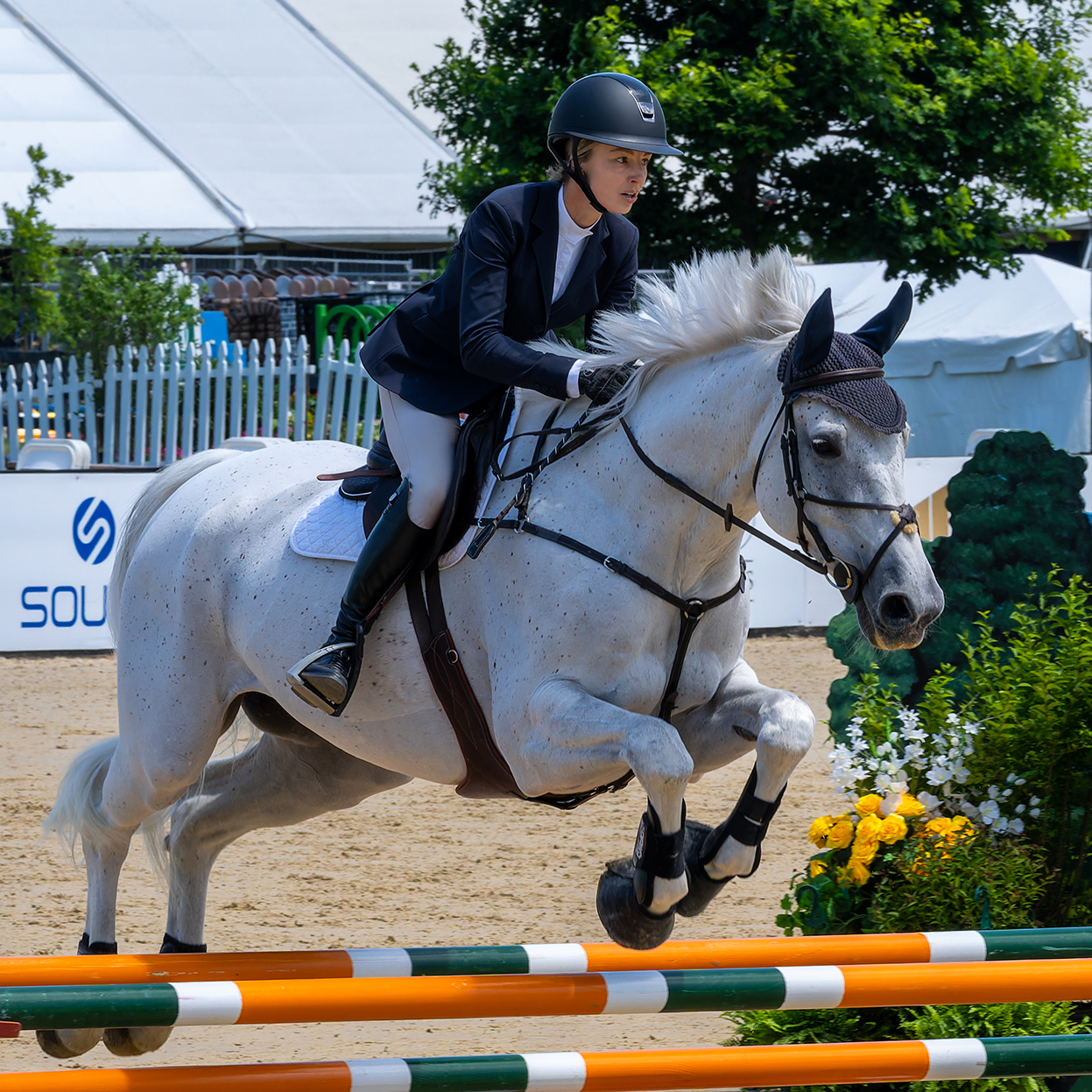 Equestrian